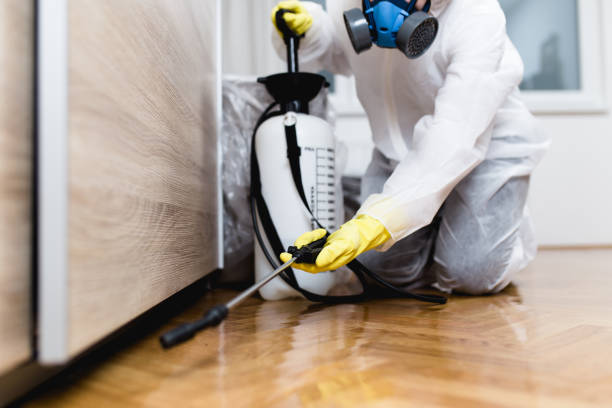 Best Pest Inspection Near Me  in Cactus Flats, AZ