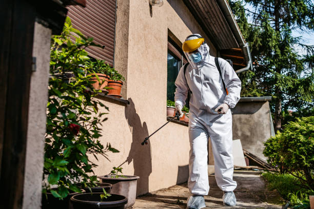 Best Residential Pest Control  in Cactus Flats, AZ