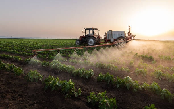 Best Best Pest Control Companies  in Cactus Flats, AZ