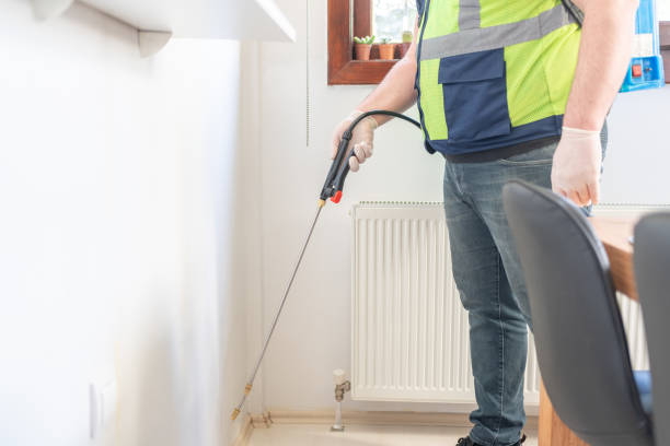 Reliable Cactus Flats, AZ Pest Control Solutions