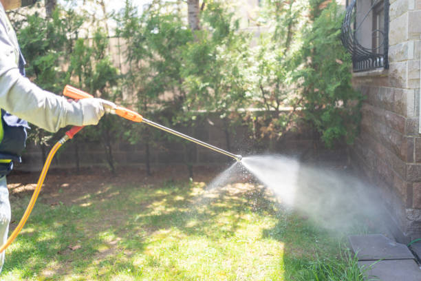Wildlife Control Services in Cactus Flats, AZ