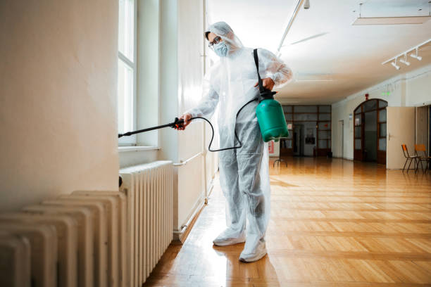 Best Pest Prevention Services  in Cactus Flats, AZ