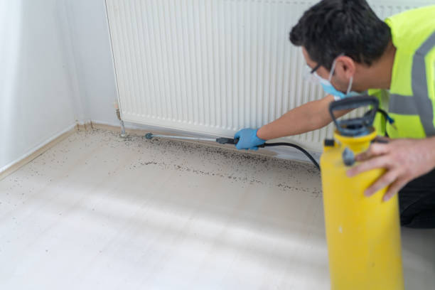 Best Rat Extermination Near Me  in Cactus Flats, AZ