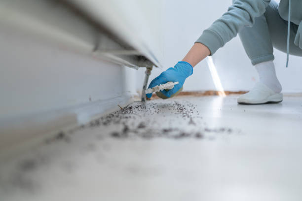 Best Wasp Removal Services  in Cactus Flats, AZ